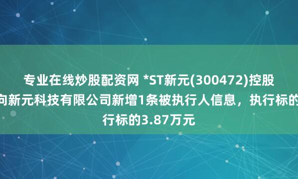 专业在线炒股配资网 *ST新元(300472)控股的北京万向新元科技有限公司新增1条被执行人信息，执行标的3.87万元