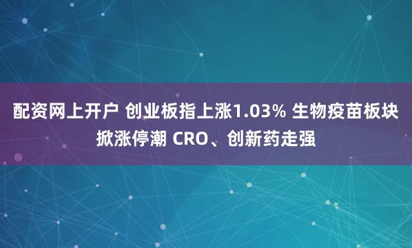 配资网上开户 创业板指上涨1.03% 生物疫苗板块掀涨停潮 CRO、创新药走强